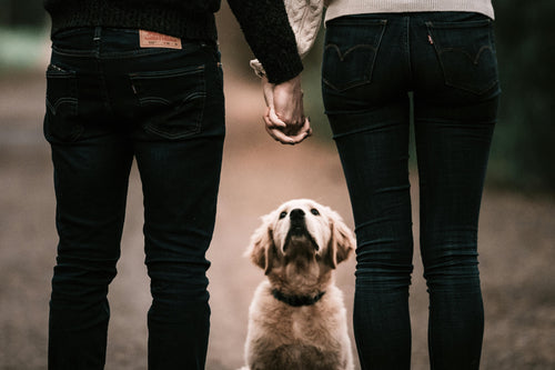 Sperma Tertelan Saat Oral Seks: Apa Saja Risiko Kesehatannya?